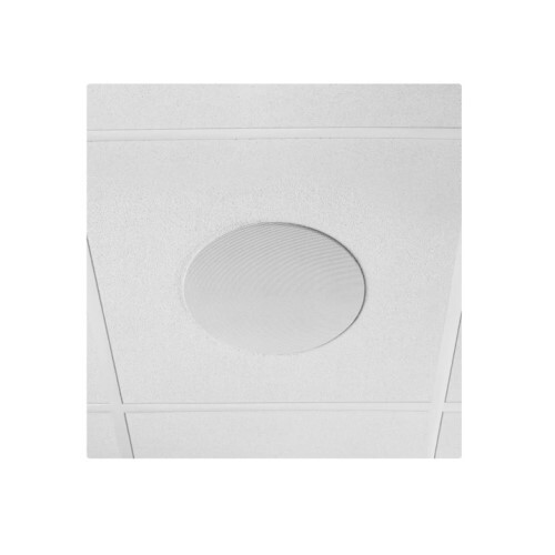 SPEAKER 5.25 INCH WHITE CEILING - DANTE ENABLED