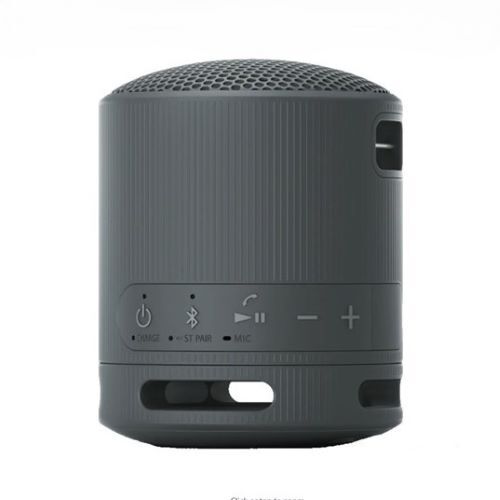 SPEAKER SRS-XB100 PORTABLE WIRELESS BLUETOOTH APP CONTROLLED-BLACK