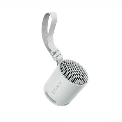 SPEAKER SRS-XB100 PORTABLE WIRELESS BLUETOOTH APP CONTROLLED-GRAY