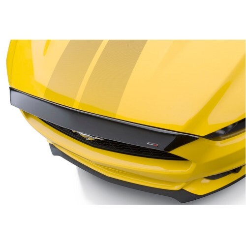 HOOD PROTECTOR FORD F-150