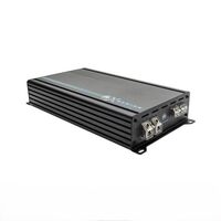 AMPLIFIER 1 X 2000W: MONO CLASS D AMPLIFIER