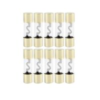 FUSE NICKEL PLATED 30 AMP AGU FUSE GOLD FILAMENT (BULK)  (K10)