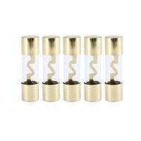 FUSE 60 AMP AGU FUSE 10/BAG (BULK)  (J07)