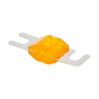 MINI ANL FUSES : NICKEL 40 AMP MINI ANL FUSE  (G06)