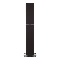 SPEAKER LARGE BIPOLAR TOWER W/10" POWERED SUBWOOFER EACH