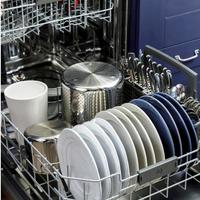 DISHWASHER 24" SLATE ESTAR STAINLESS STEEL INTERIOR DRY BOOST TOP CONTROL DRY BOOST 50DBA