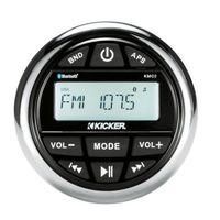 MEDIA CENTER WEATHER-RESISTANT GAUGE-STYLE W/BLUETOOTH