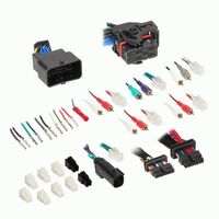 HARNESS DSP AND ADD AN AMP HARNESS