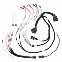 HARNESS DSP AND ADD AN AMP HARNESS