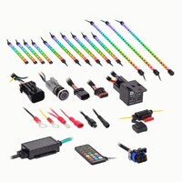 CAN-AM RYKER CHASING LED ACCENT KIT