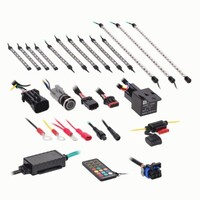 CAN-AM RYKER CHASING LED ACCENT KIT