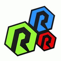 DISPLAY RAPTOR LARGE TOP DECAL