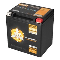 BATTERY420 CRANK AMPS 30AMP HOURS AGM BATTERY