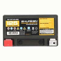BATTERY125 CRANK AMPS 8 AMP HOURS AGM BATTERY