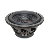 Speaker 10“  Dual 4 ohm VC 350Wrms / 700Wmax