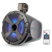 Speaker 10“  Long Range Pod Speaker System with RGB LED