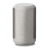 SPEAKER RA3000 WI-FI ENABLED 360 REALITY AUDIO-LIGHT GRAY