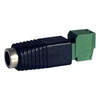 PLUG 2.1MM MALE TO TERMINAL BLOCK (PACK OF 10)
