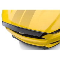 HOOD PROTECTOR FORD F-150